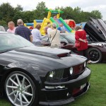 Classic cars on display