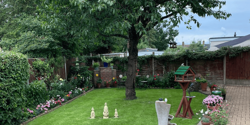 Terry's garden, with a beautiful large tree in the centre of the image.