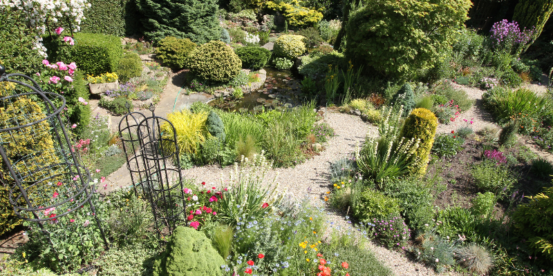 Wide shot of Colin's garden.