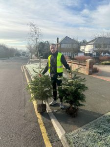 A male volunteer collecting two small Christmas trees for St Clare Hospice's charity Christmas tree collection initiative.