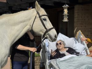A photo of Wyn laying in her Inpatient Unit bed with Pebbles stood beside her. Pebbles is a white horse wearing a bridle.